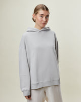 Carl Hoodie Grey